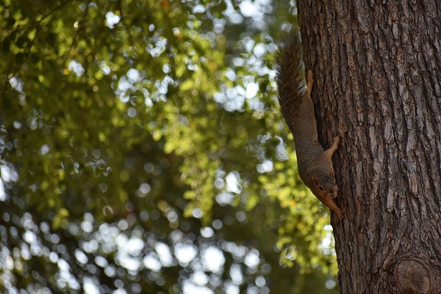 曼城略占上 曼城略占上