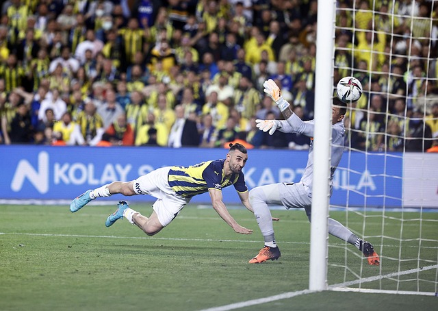 具备一定的 具备一定的