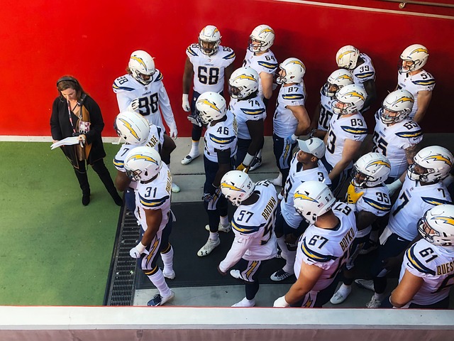 揭示了体育 揭示了体育